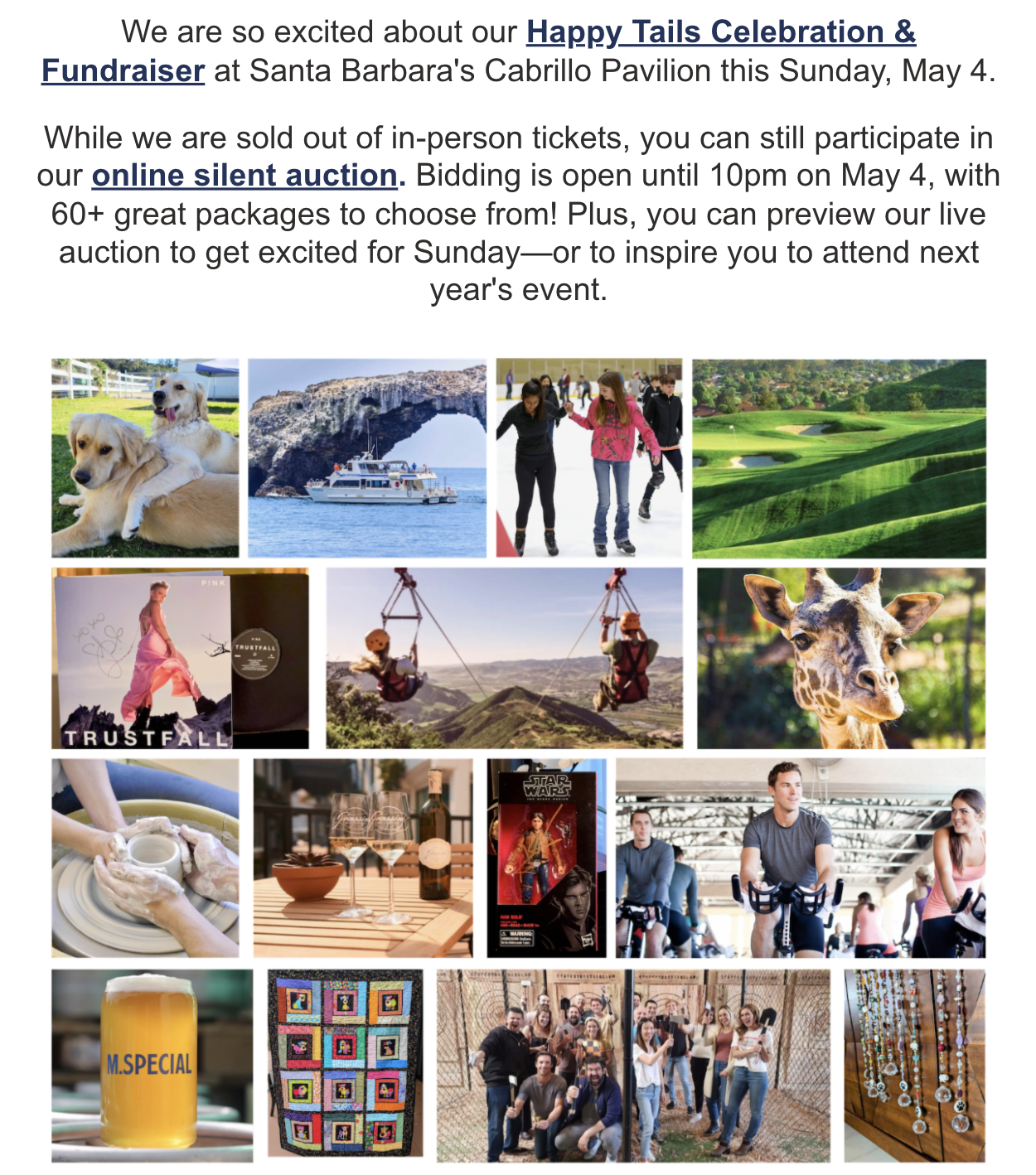 E-newsletter preview